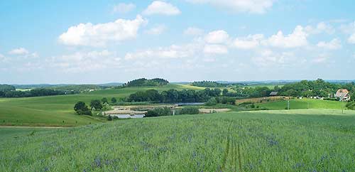 Konflikte zwischen dem Naturschutz und dem &Ouml;kologischen Landbau