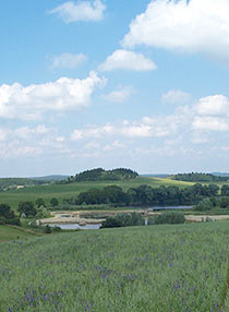 Naturschutzhof Brodowin - Ein Erprobungs- und Entwicklungsvorhaben zur naturschutzfachlichen Optimierung des ?kologischen Landbaus.