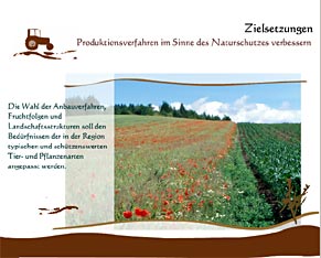 Multimedia-Download
