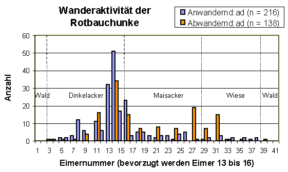 Diagramm - Wanderaktivit&auml;t der Rotbauchunke