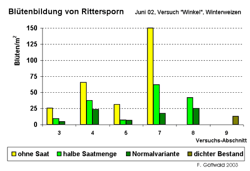 Bl&uuml;tenbildung von Rittersporn