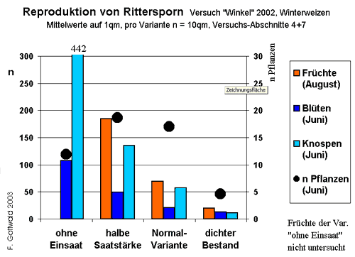 Reproduktion von Rittersporn