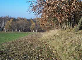 Neuangelegter Saum