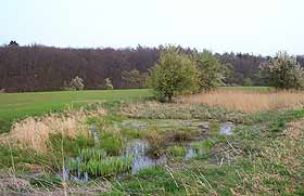 Gew&auml;ssernahbereich